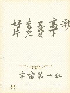 好爽又高潮了毛片免费下