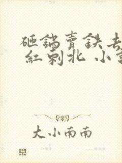 砸锅卖铁去上学 红刺北 小说