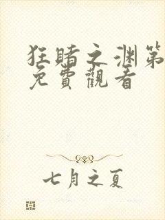 狂赌之渊第二季免费观看