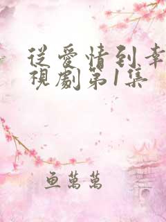 从爱情到幸福电视剧第1集