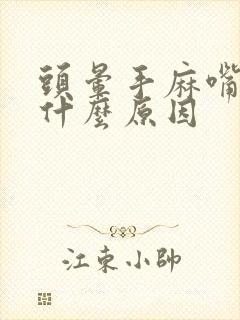 头晕手麻嘴麻是什么原因