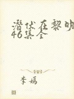 潜伏在黎明之前46集全
