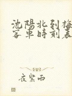 沈阳北到梅河口客车时刻表