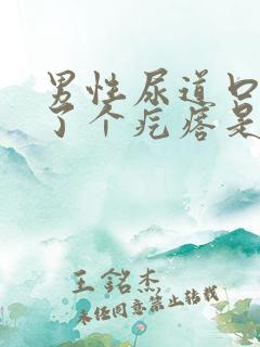 男性尿道口上长了个疙瘩是什么