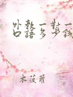 外教一对一英语口语多少钱