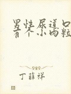 男性尿道口下方有个小肉粒