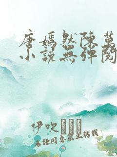 唐嫣然陈万里的小说无弹阅读