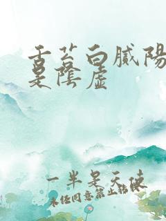 舌苔白腻阳虚还是阴虚