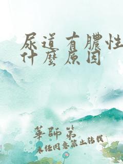 尿道有脓性液体什么原因