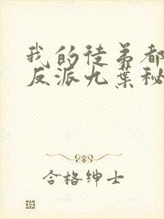 我的徒弟都是大反派九叶秘密