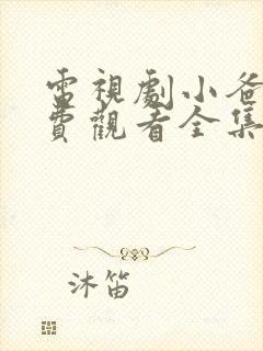 电视剧小爸爸免费观看全集国语版