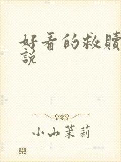 好看的救赎文小说