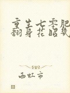 重生七零肥妻要翻身花昭几个孩子