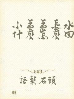 小弟弟长水泡是什么怎么回事