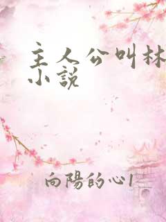 主人公叫林峰的小说