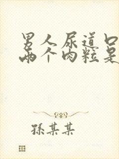 男人尿道口长了两个肉粒是怎么回事