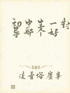 初中生一对一辅导哪个好