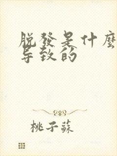 脱发是什么原因导致的