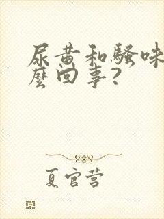 尿黄和骚味重怎么回事?