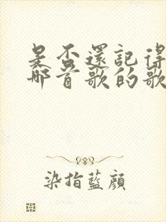 是否还记得我是哪首歌的歌词