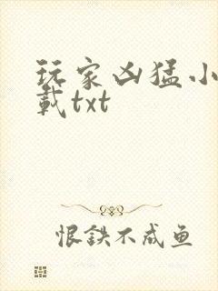 玩家凶猛小说下载txt