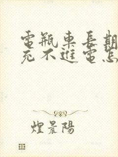 电瓶车长期不用充不进电怎么办