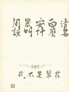 周晟安白清枚小说叫什么名字来着