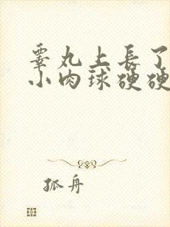 睾丸上长了一个小肉球硬硬的很痒