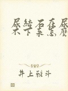 尿结石在尿管里不下来怎么办