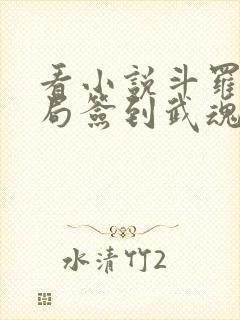 看小说斗罗:开局签到武魂死神