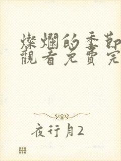 灿烂的季节在线观看免费完整版电视剧