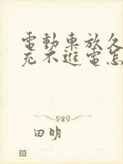 电动车放久电瓶充不进电怎么办