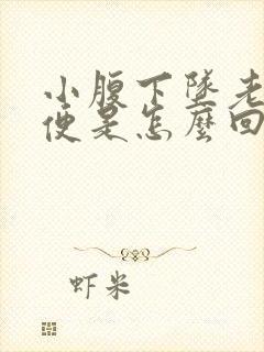 小腹下坠老想大便是怎么回事