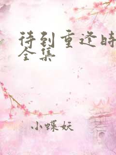 待到重逢时泰剧全集