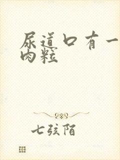 尿道口有一排小肉粒