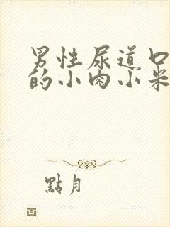 男性尿道口长了的小肉小米粒