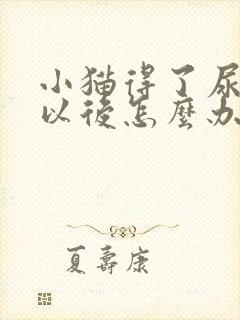 小猫得了尿闭症以后怎么办