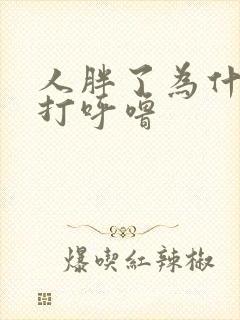 人胖了为什么会打呼噜