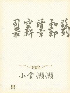 司空靖和苏月汐最新章节列表