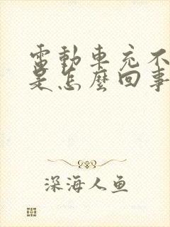 电动车充不进电是怎么回事