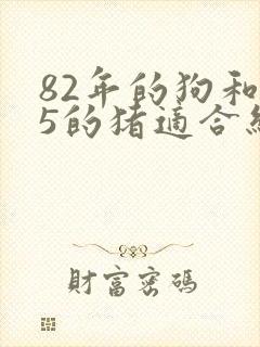 82年的狗和95的猪适合结婚吗