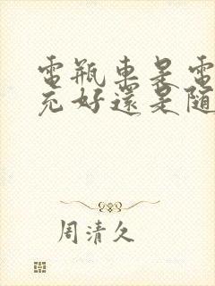 电瓶车是电用完充好还是随时充好