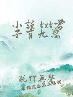 小说 txt君子有九思