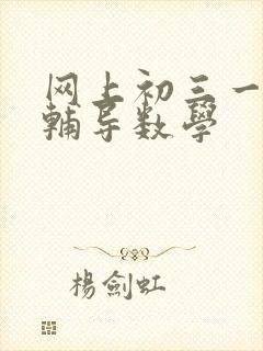 网上初三一对一辅导数学