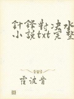 针锋对决水千丞小说txt完整版