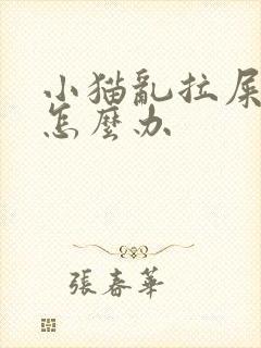 小猫乱拉屎拉尿怎么办