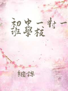 初中一对一补习班学校