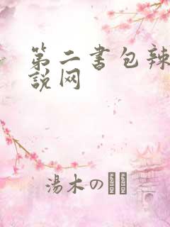 第二书包辣文小说网