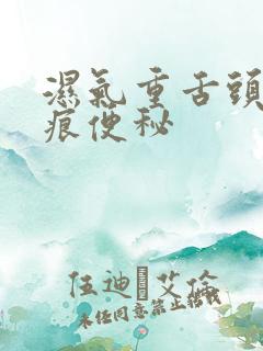 湿气重舌头有齿痕便秘