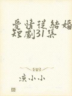 爱情从结婚开始短剧31集